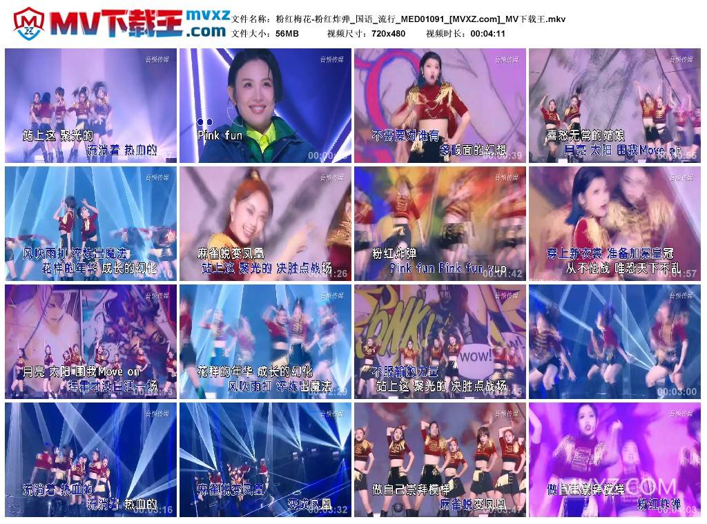 粉红梅花-粉红炸弹_国语_流行_MED01091